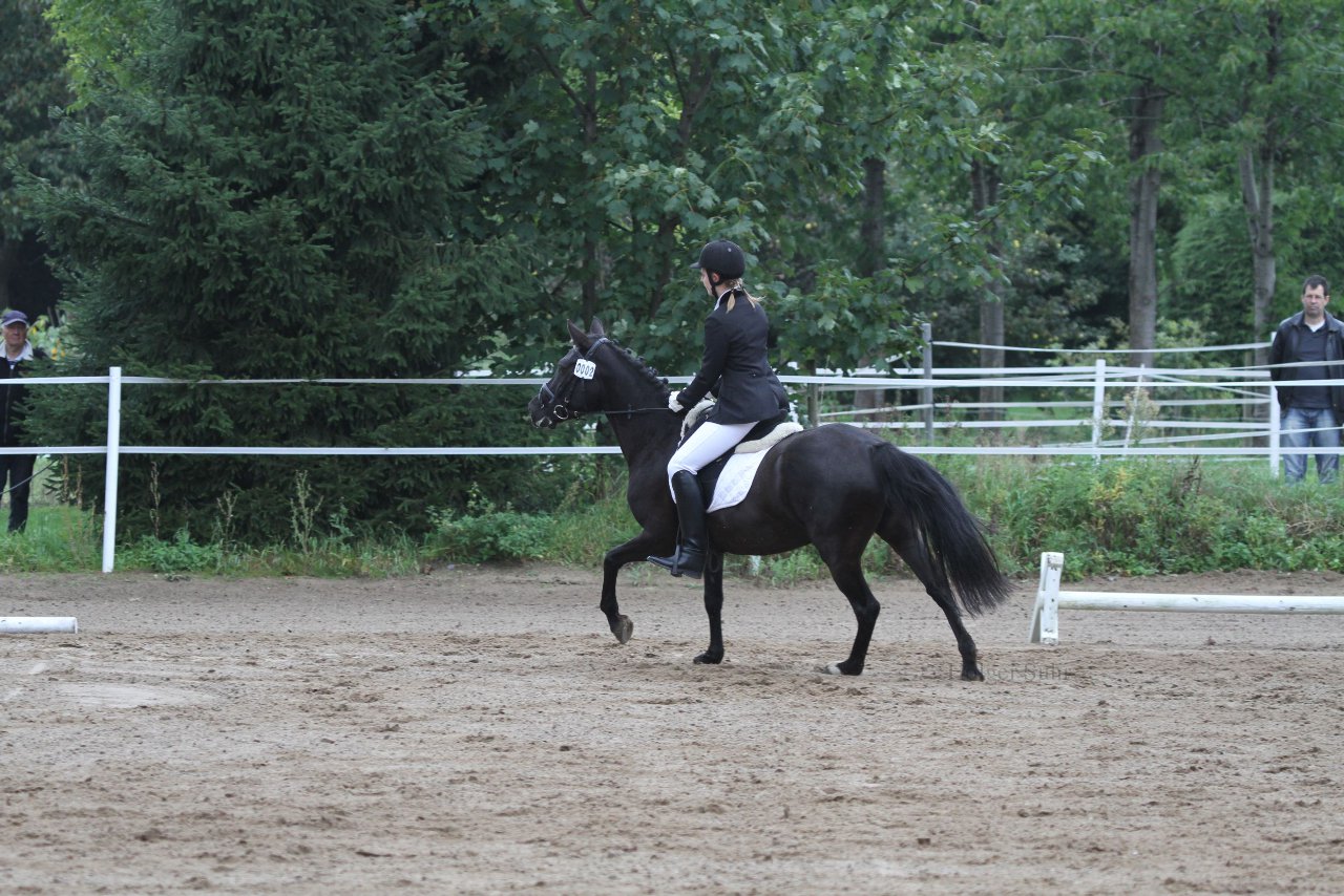 Bild 287 - WBO-Turnier am 18.9.11
